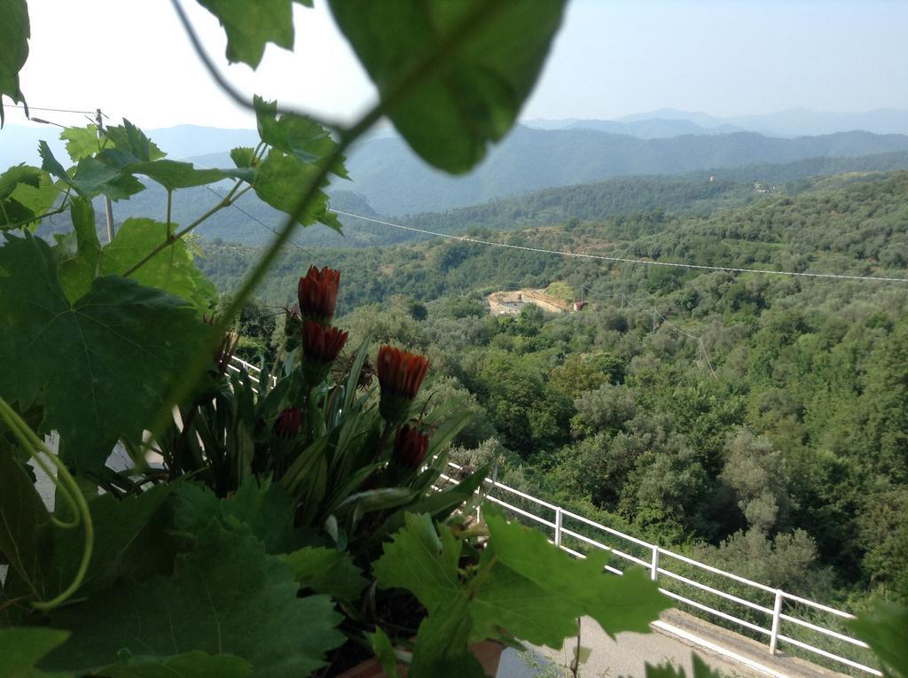 Bed & Breakfast Ca' Di Vissai Arnasco エクステリア 写真