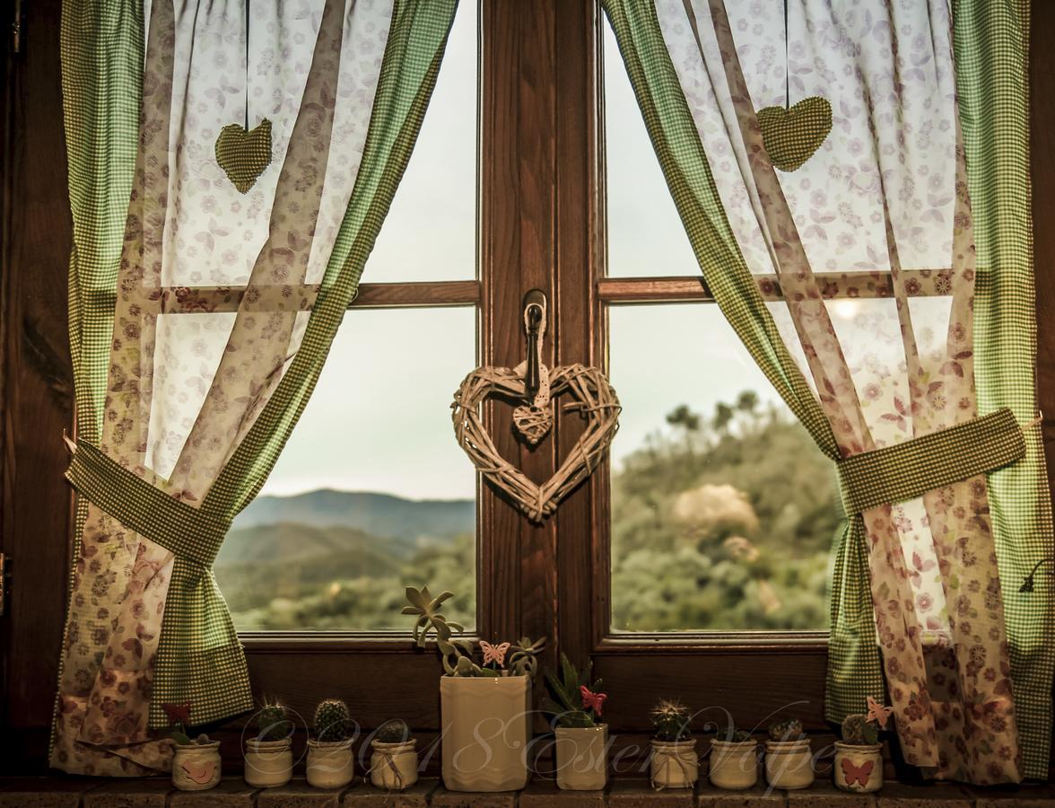 Bed & Breakfast Ca' Di Vissai Arnasco エクステリア 写真