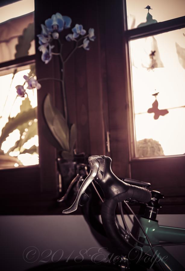 Bed & Breakfast Ca' Di Vissai Arnasco エクステリア 写真